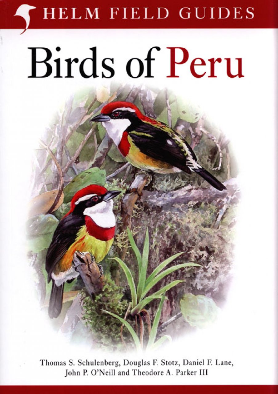 Online bestellen: Vogelgids Peru - Birds of Peru | Bloomsbury