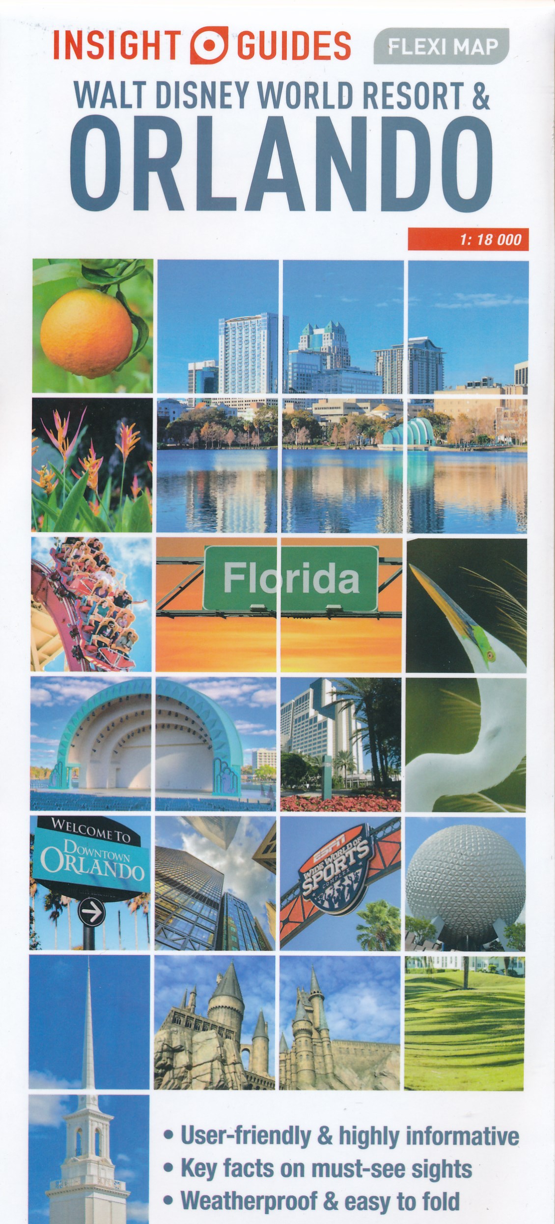 Online bestellen: Wegenkaart - landkaart - Stadsplattegrond Fleximap Orlando - Walt Disney world resort | Insight Guides