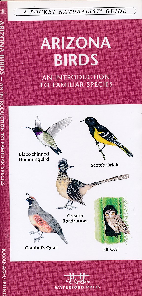 Online bestellen: Natuurgids Arizona birds | Waterford Press