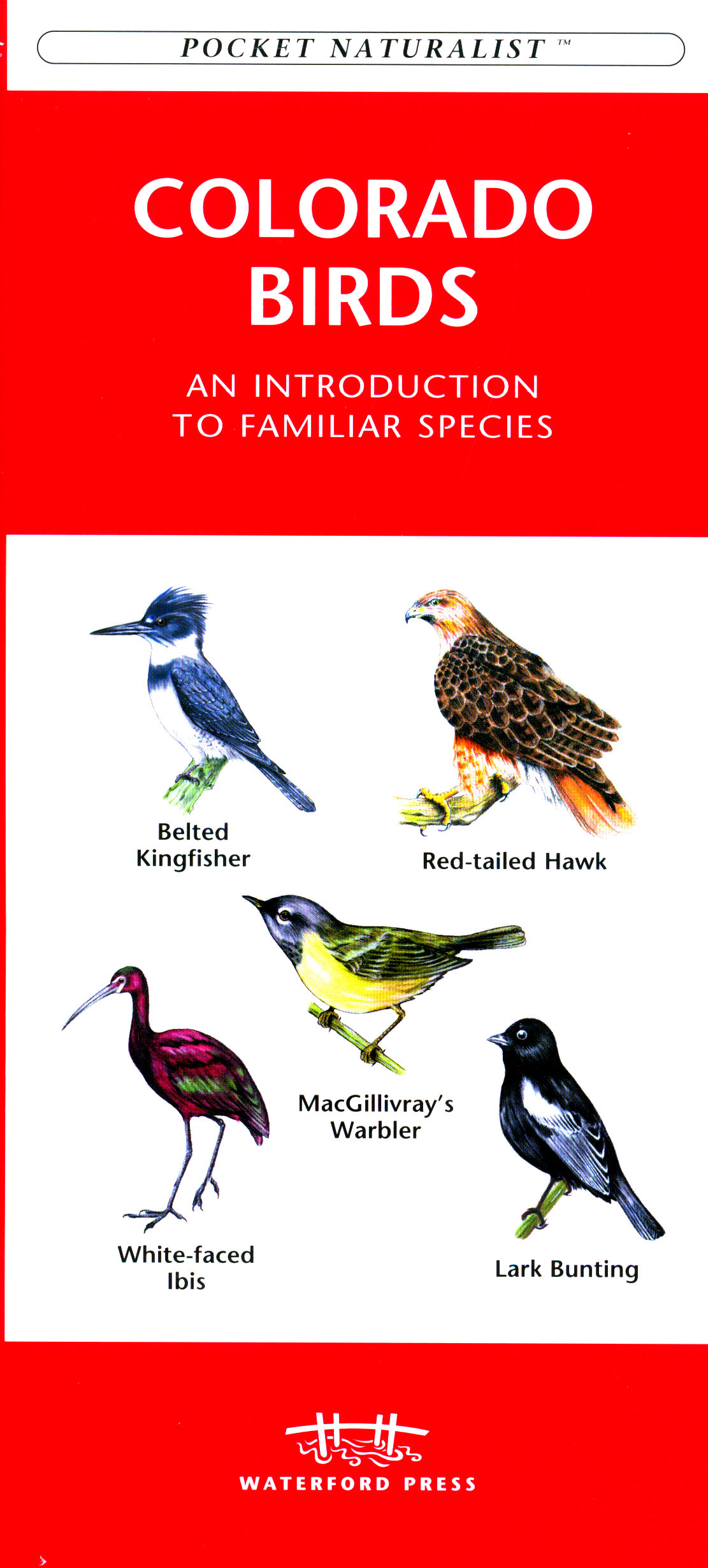 Online bestellen: Vogelgids Colorado | Waterford Press
