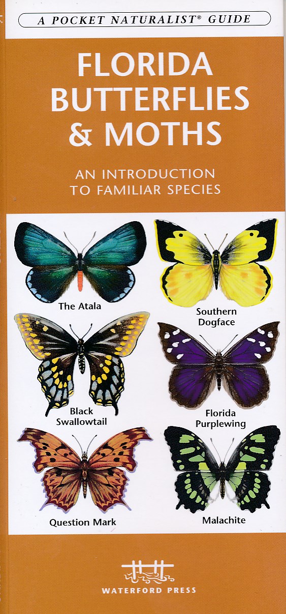 Online bestellen: Natuurgids Florida Butterflies & Moths | Waterford Press