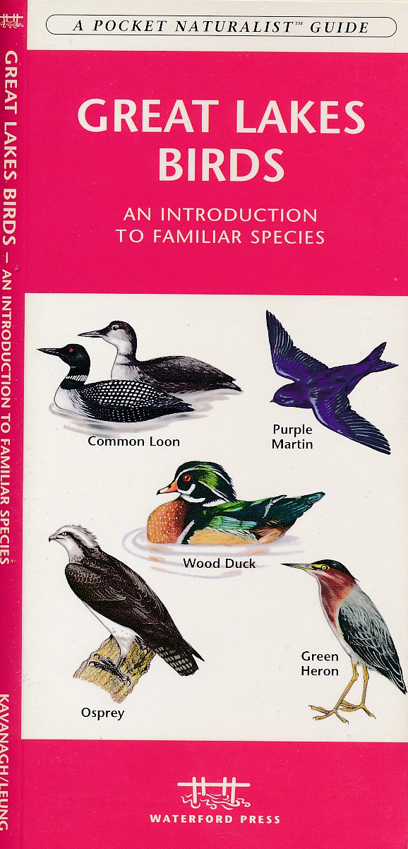 Online bestellen: Vogelgids Great Lakes | Waterford Press