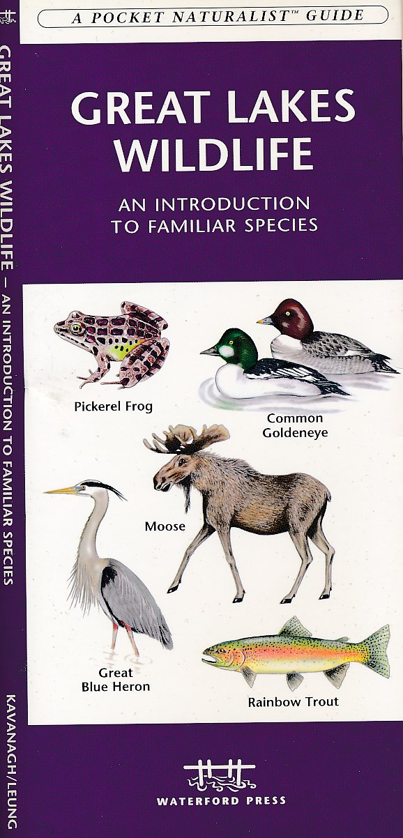 Online bestellen: Natuurgids Great Lakes wildlife | Waterford Press
