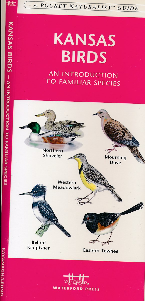 Online bestellen: Vogelgids Kansas | Waterford Press