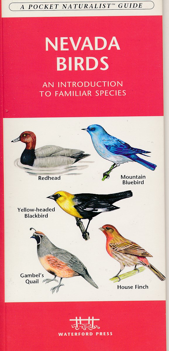Online bestellen: Vogelgids Nevada | Waterford Press