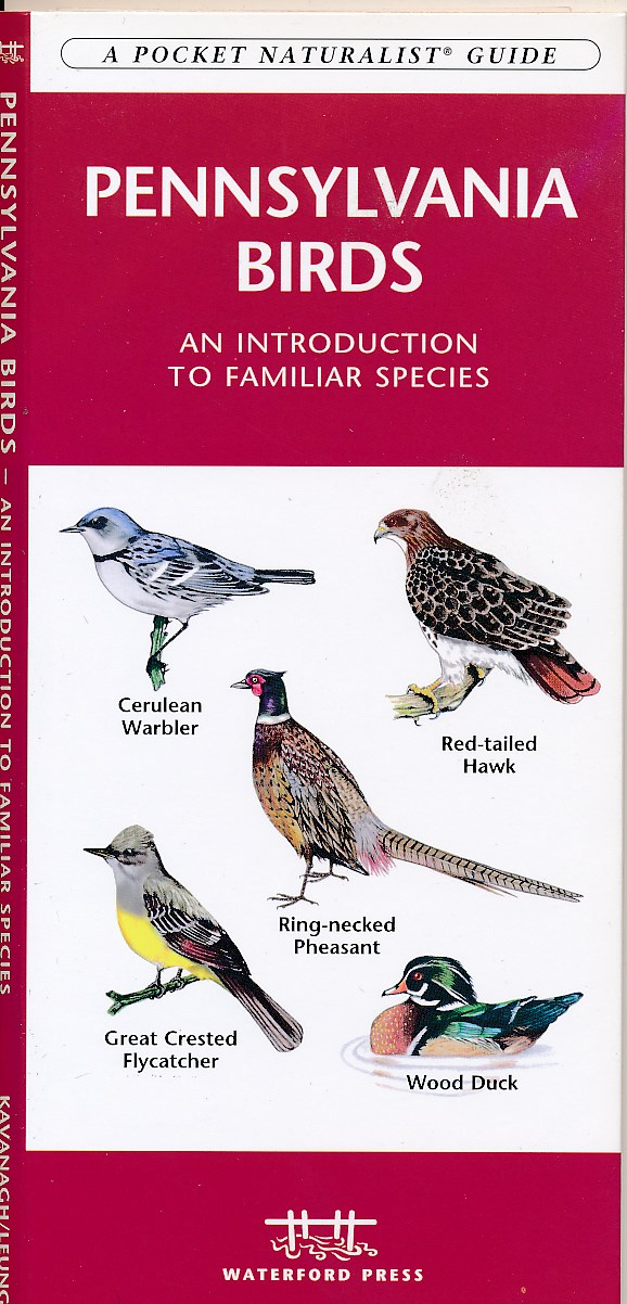 Online bestellen: Vogelgids Pennsylvania | Waterford Press