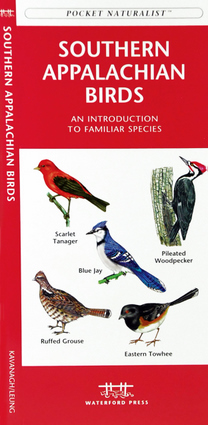Online bestellen: Vogelgids Southern Appalachian Birds | Waterford Press