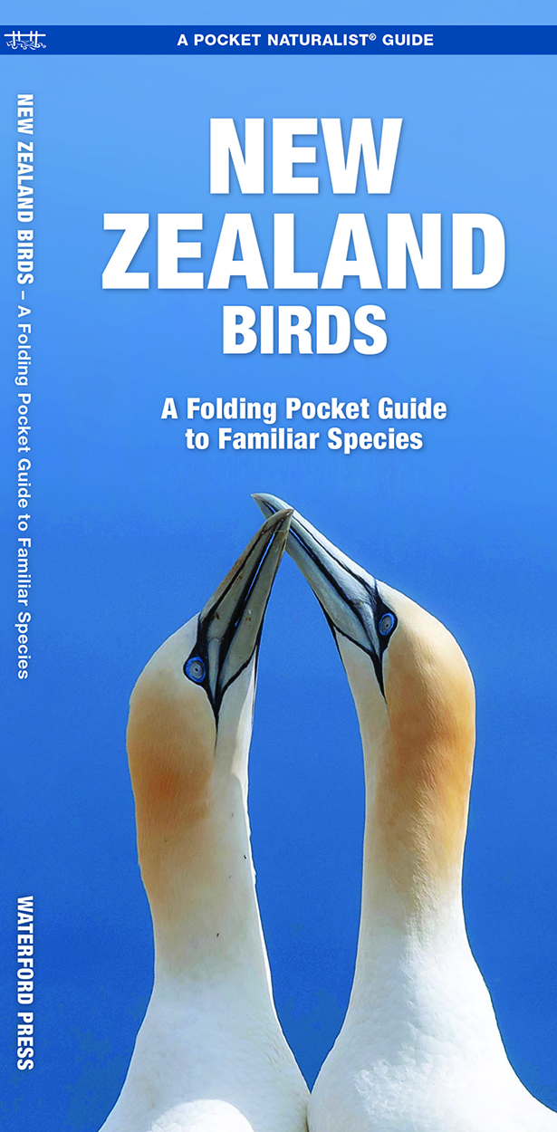 Online bestellen: Vogelgids New Zealand Birds | Waterford Press