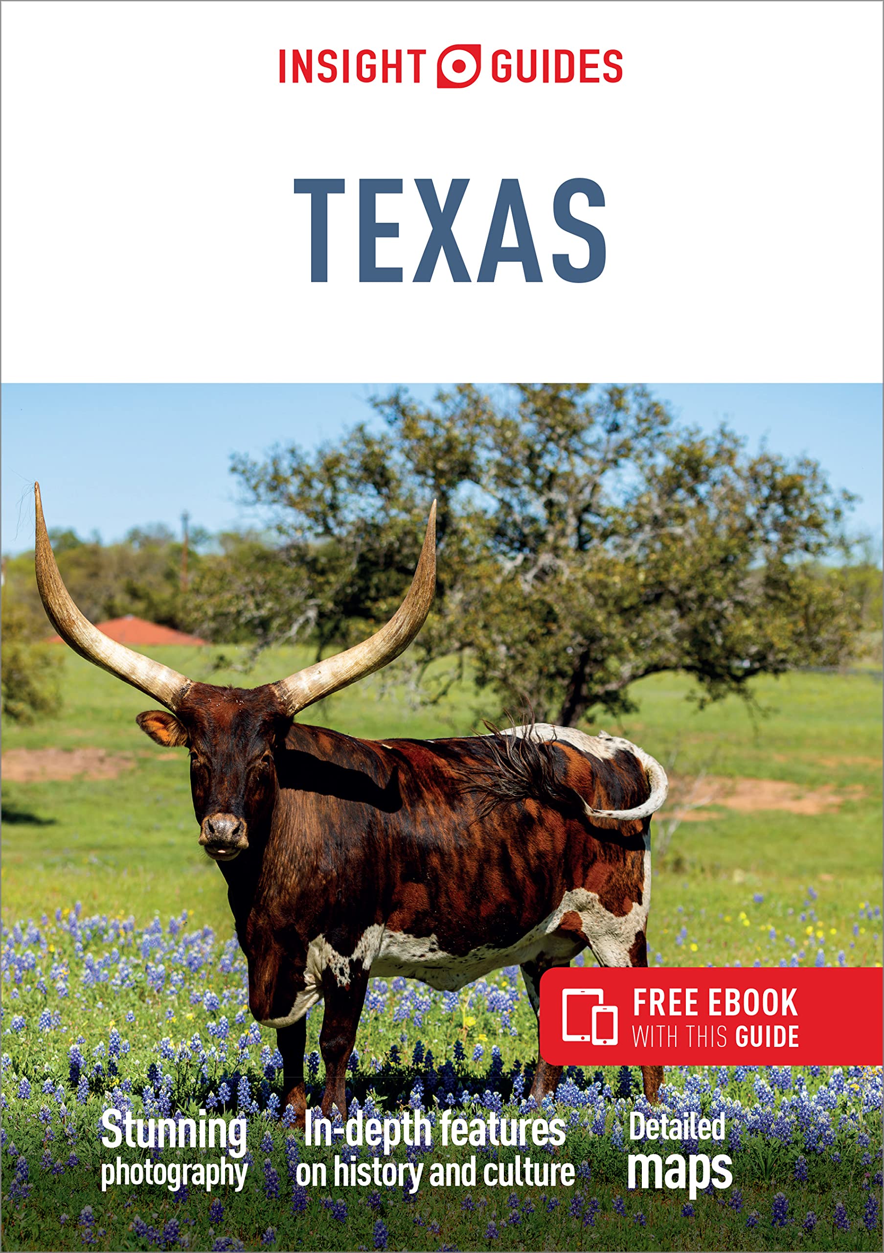 Online bestellen: Reisgids Texas | Insight Guides