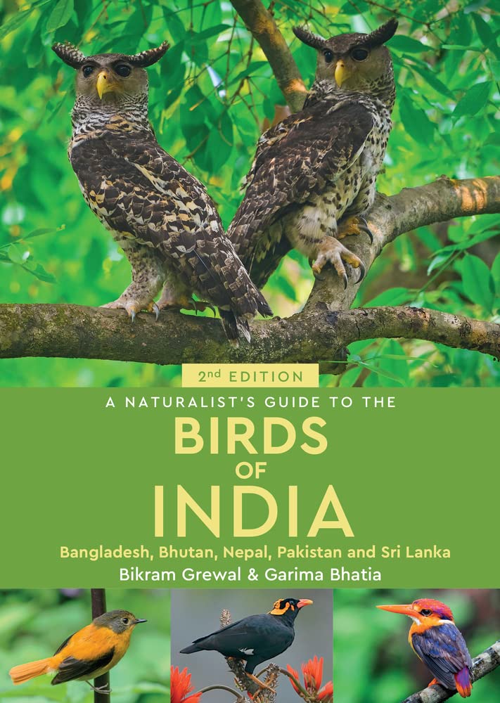 Online bestellen: Vogelgids a Naturalist's guide to the Birds of India | John Beaufoy