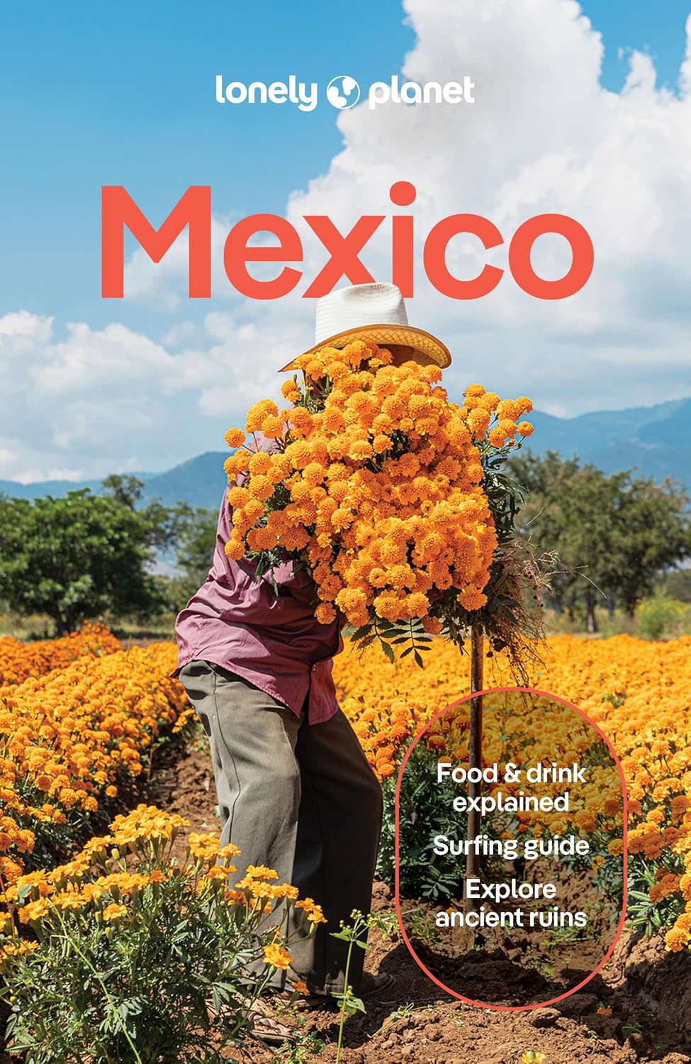 Reisgids Mexico | Lonely Planet