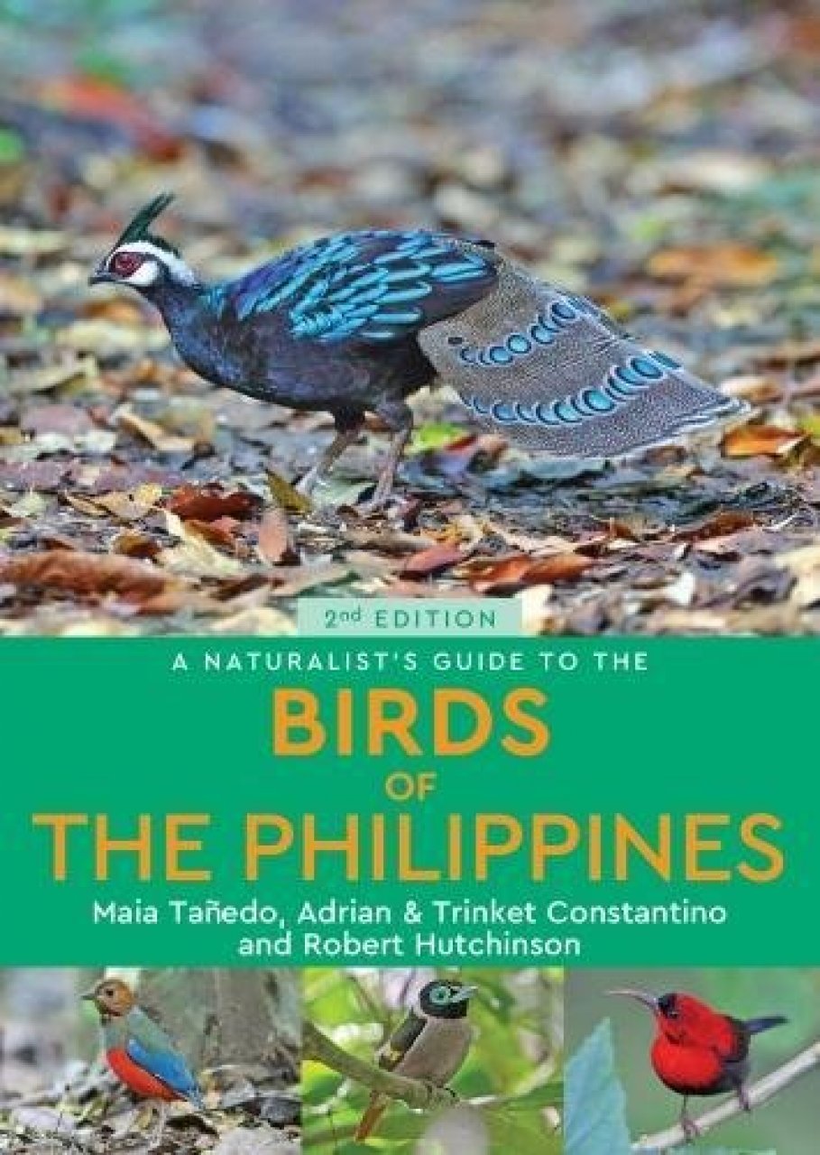 Online bestellen: Vogelgids a Naturalist's guide to the Birds of the Philippines - Vogels Filipijnen | John Beaufoy