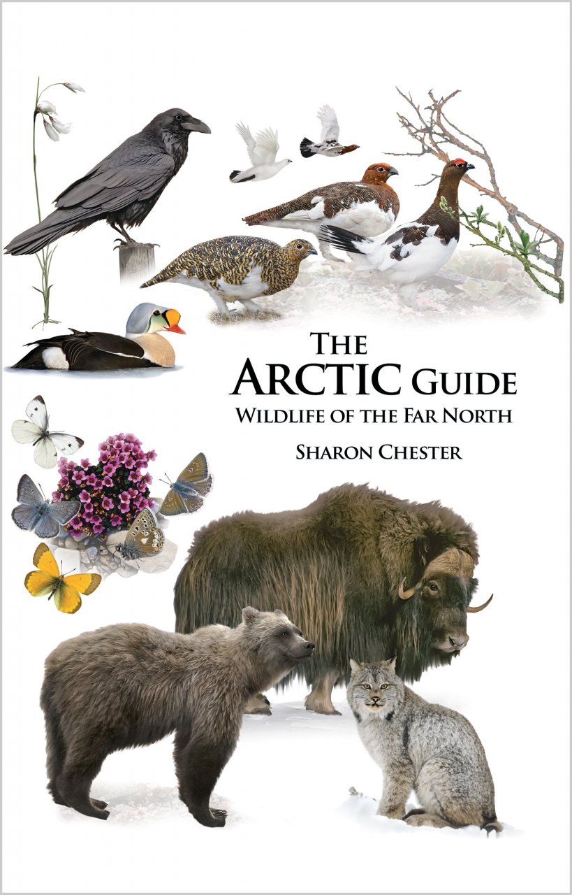 Online bestellen: Natuurgids - Reisgids The Arctic Guide: Wildlife of the Far North | Princeton University