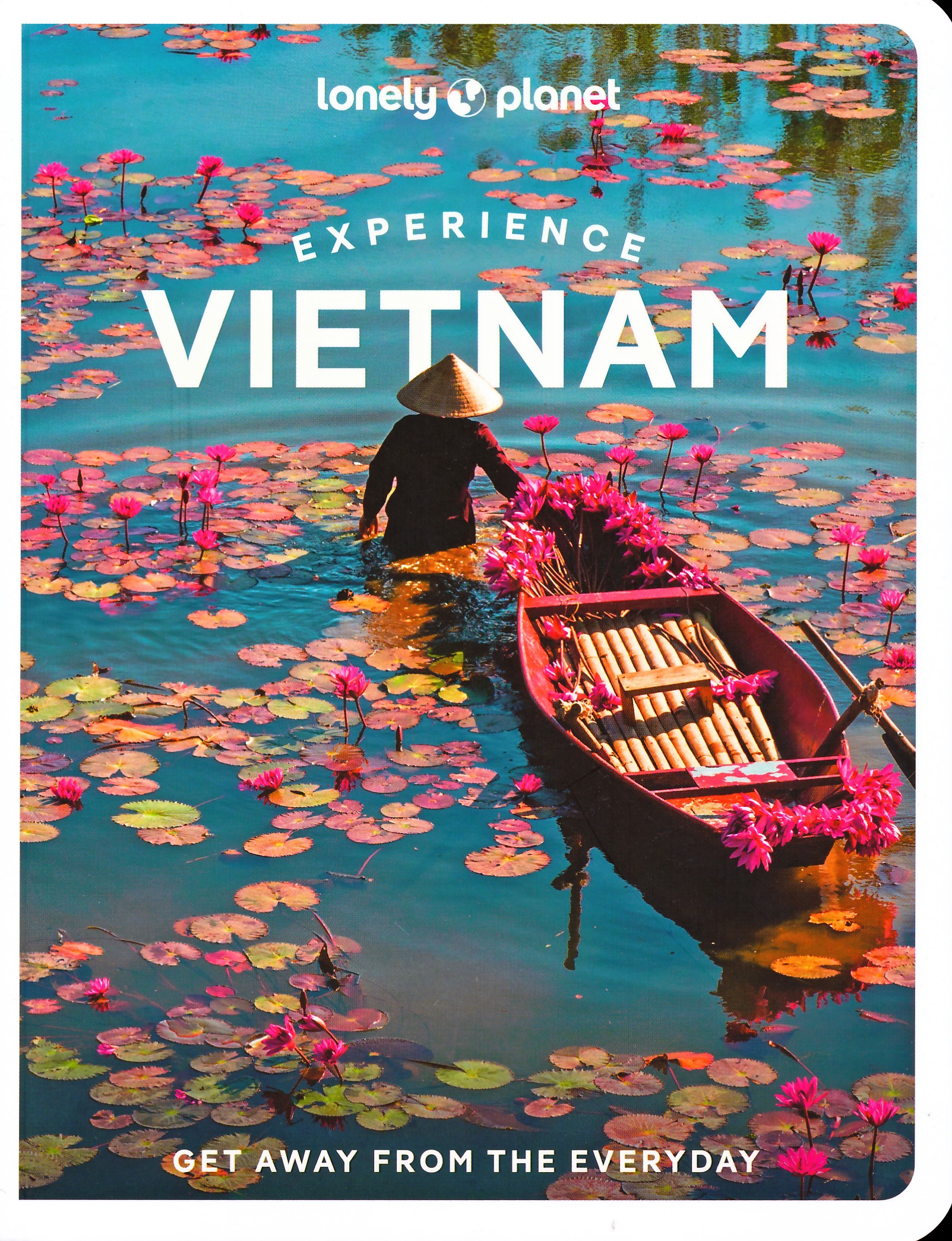 Online bestellen: Reisgids Experience Vietnam | Lonely Planet