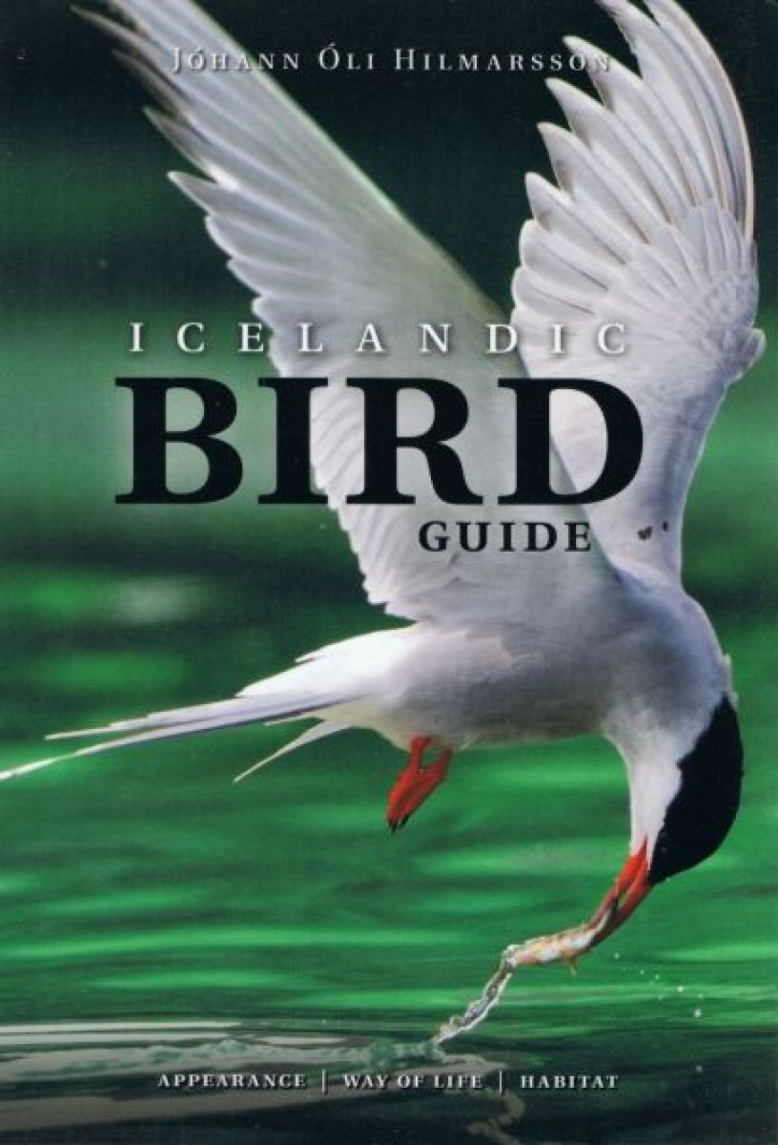 Online bestellen: Vogelgids IJsland - Icelandic Bird Guide | Mal og Menning