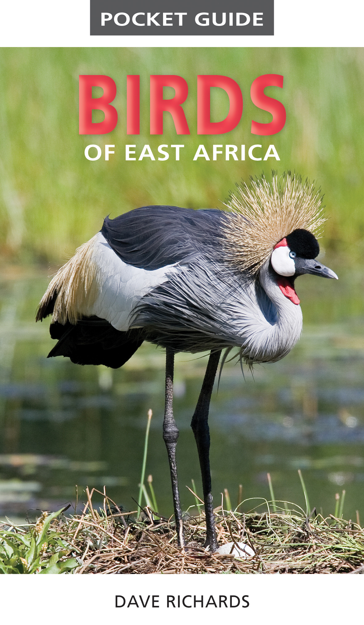 Online bestellen: Vogelgids Pocket Guide: Birds of East Africa | Struik Nature