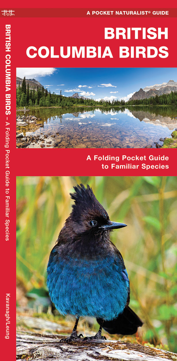 Online bestellen: Vogelgids - Natuurgids British Columbia Birds | Waterford Press