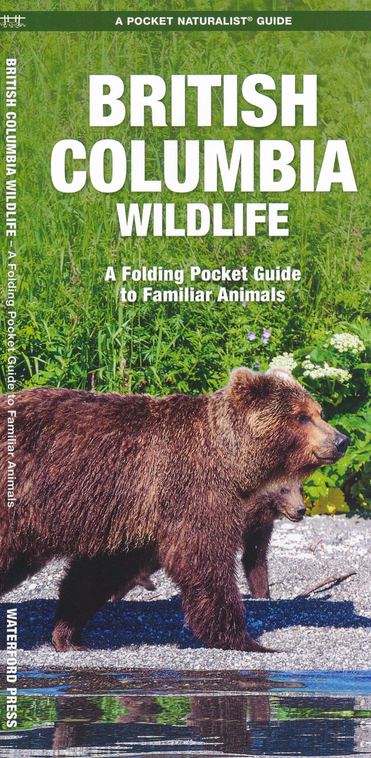 Online bestellen: Natuurgids British Columbia Wildlife | Waterford Press