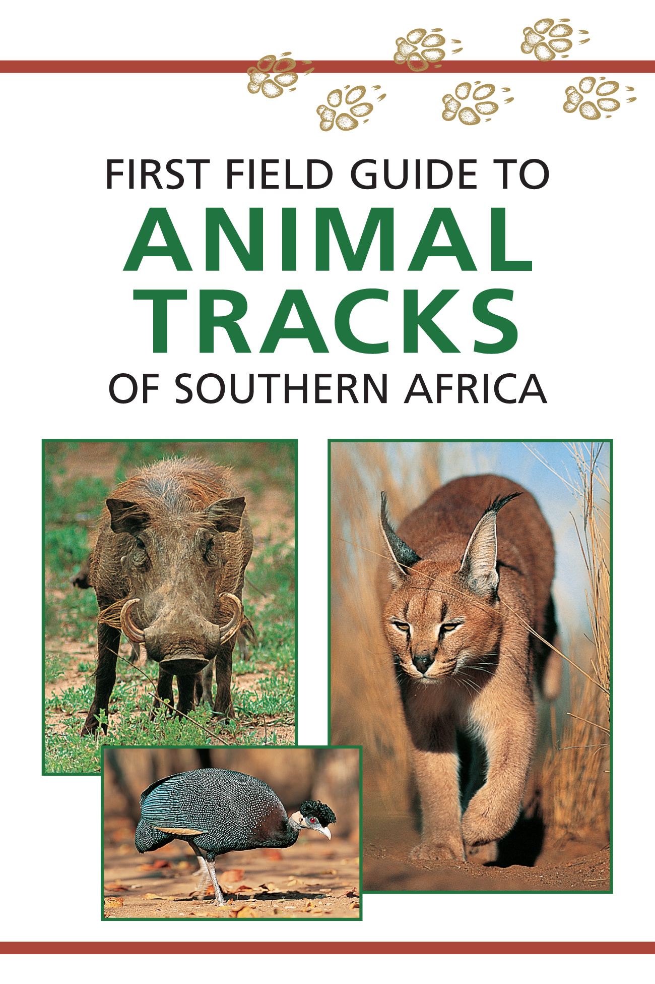 Online bestellen: Natuurgids First Field Guide to Animal Tracks of Southern Africa | Struik Nature