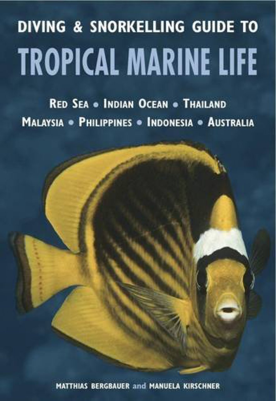 Online bestellen: Duikgids - Natuurgids Diving & Snorkelling Guide to Tropical Marine Life | John Beaufoy