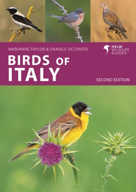 Online bestellen: Vogelgids Pocket Photo Guide Birds of Italy | Bloomsbury