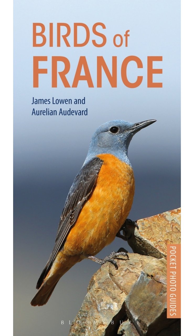 Online bestellen: Vogelgids - Natuurgids Pocket Photo Guide Birds of France - Vogelgids Frankrijk | Bloomsbury