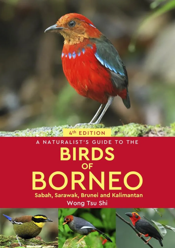 Online bestellen: Vogelgids - Natuurgids a Naturalist's guide to the Birds of Borneo | John Beaufoy