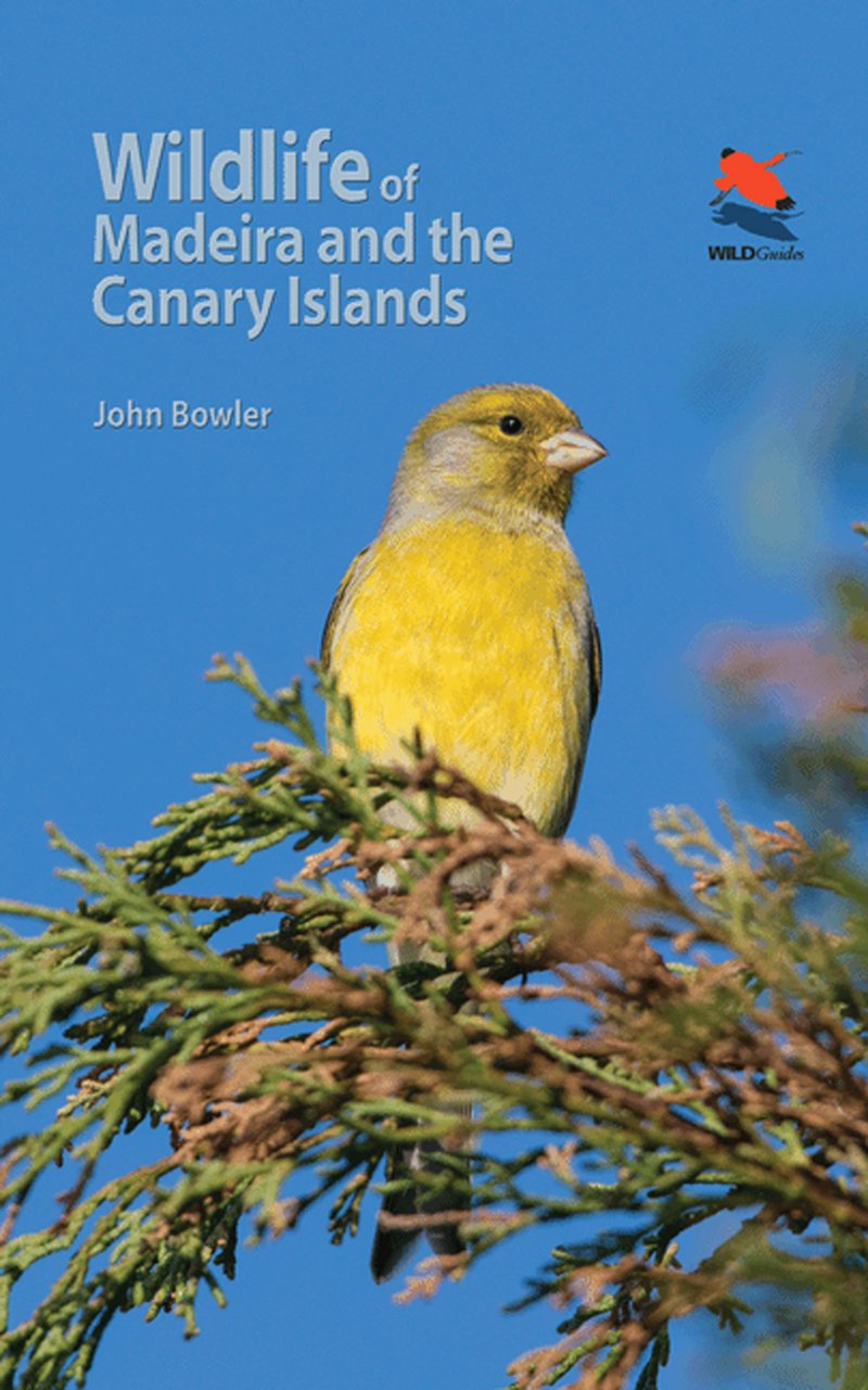 Online bestellen: Natuurgids - Reisgids Wildlife of Madeira and the Canary Islands | Princeton University