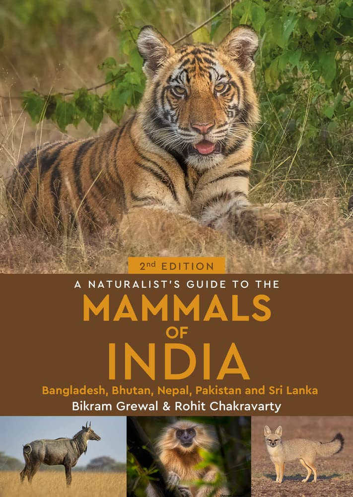 Online bestellen: Natuurgids a Naturalist's guide to the Mammals of India | John Beaufoy