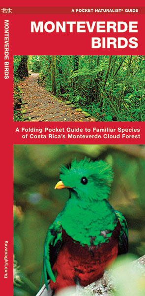 Online bestellen: Vogelgids Monteverde Birds | Waterford Press