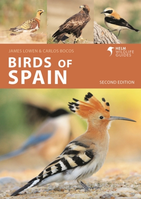 Online bestellen: Vogelgids Pocket Photo Guide Birds of Spain | Bloomsbury