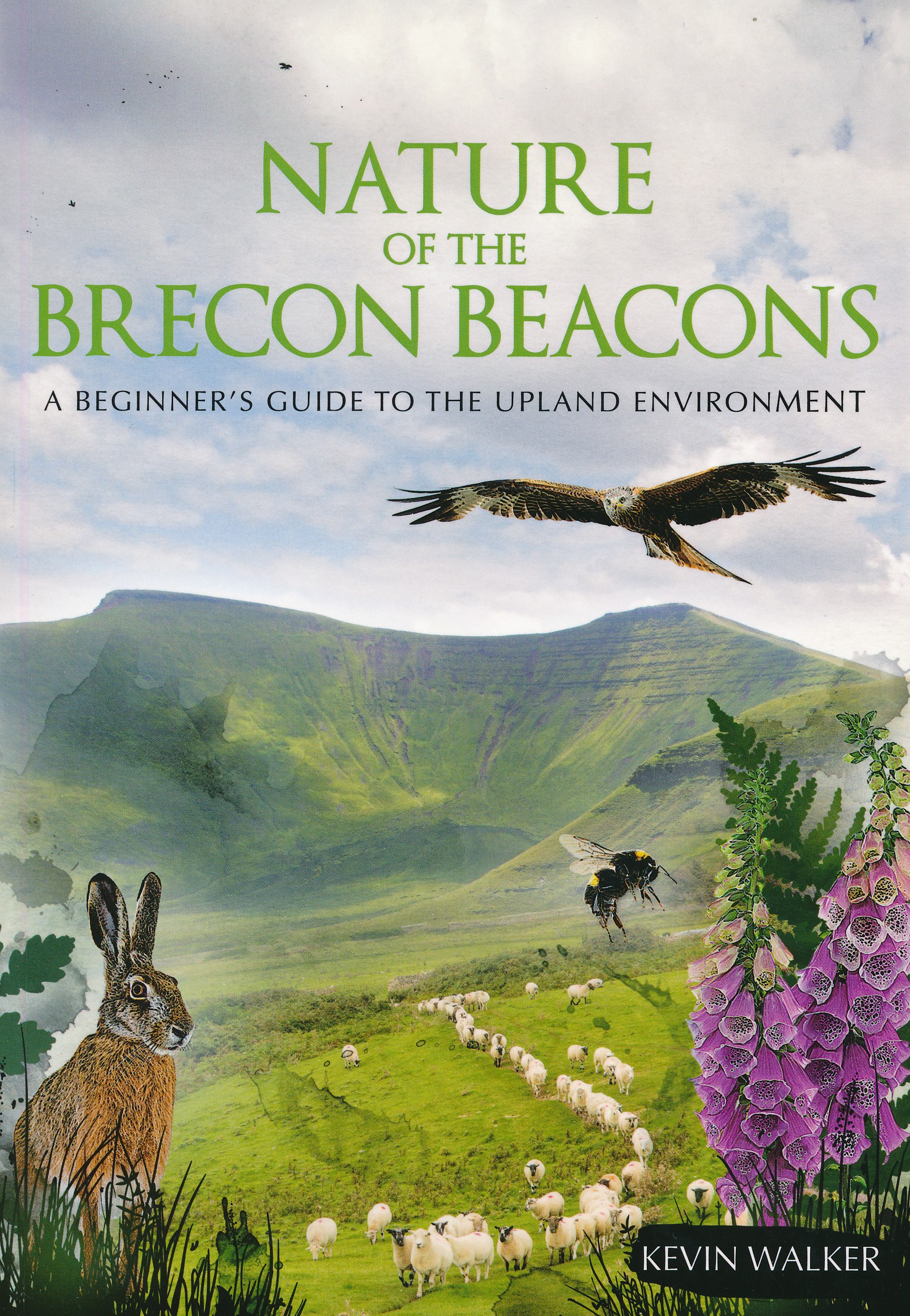 Online bestellen: Natuurgids Nature of the Brecon Beacons | Pesda Press