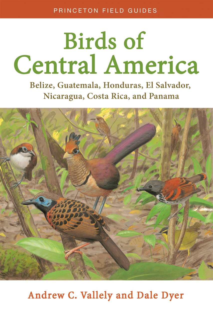 Online bestellen: Vogelgids Birds of Central America | Princeton University