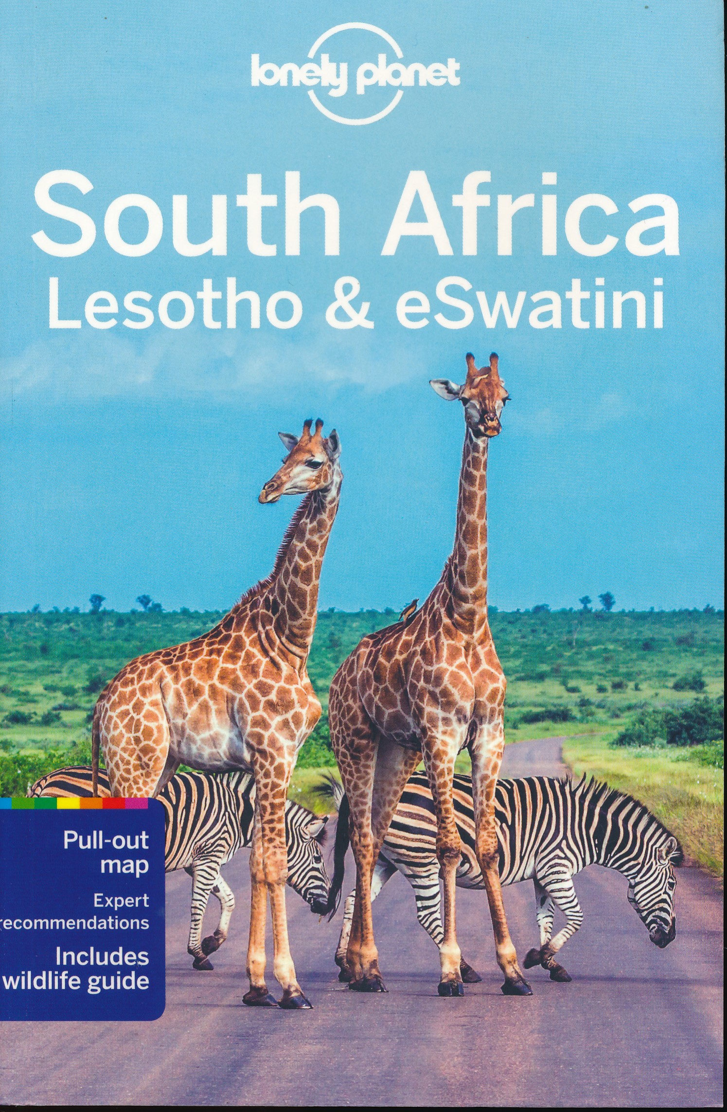 Online bestellen: Reisgids South Africa, Swaziland & Lesotho - Zuid Afrika | Lonely Planet
