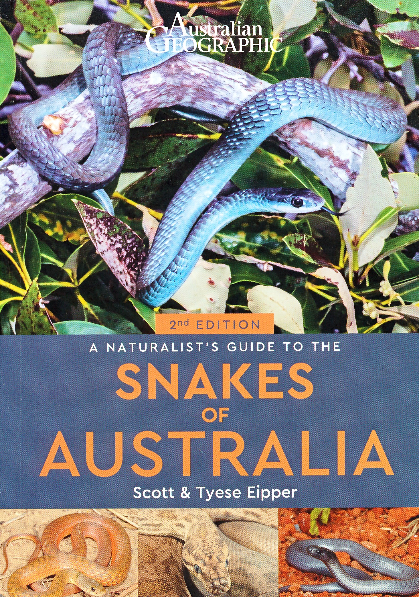 Online bestellen: Natuurgids Snakes of Australia | John Beaufoy