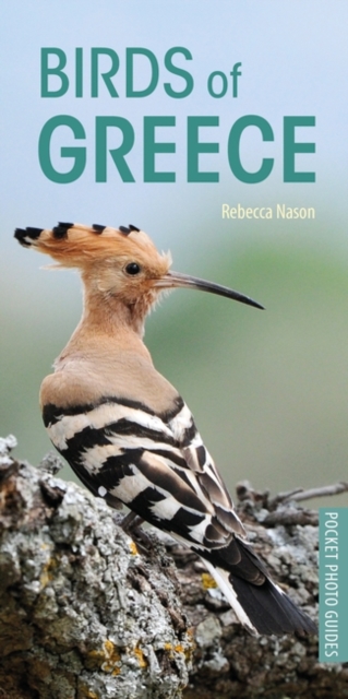 Online bestellen: Vogelgids Pocket Photo Guide Birds of Greece | Bloomsbury