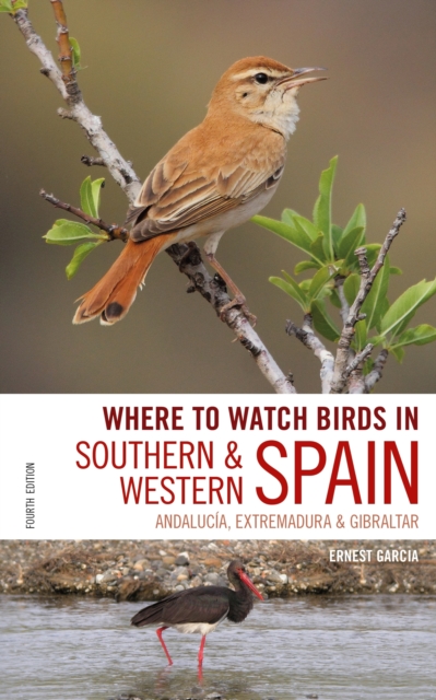 Online bestellen: Vogelgids Where to Watch Birds in Southern and Western Spain | Bloomsbury