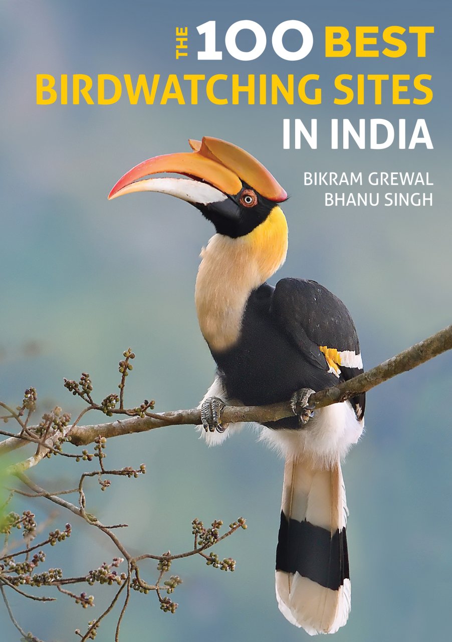 Online bestellen: Vogelgids The 100 Best Birdwatching Sites in India | John Beaufoy