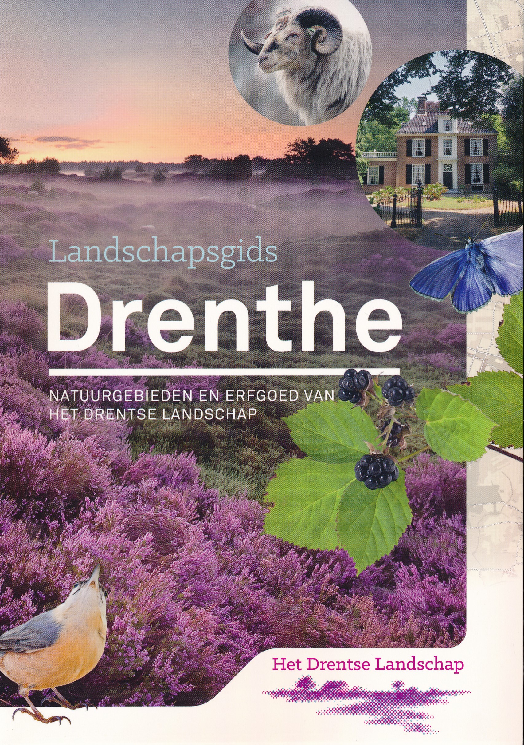 Reisgids - Natuurgids Landschapsgids Drenthe | Drents Landschap de zwerver