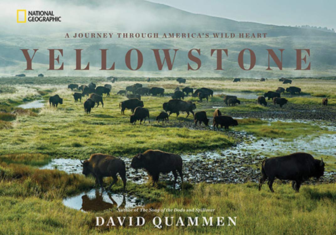 Online bestellen: Fotoboek Yellowstone | National Geographic