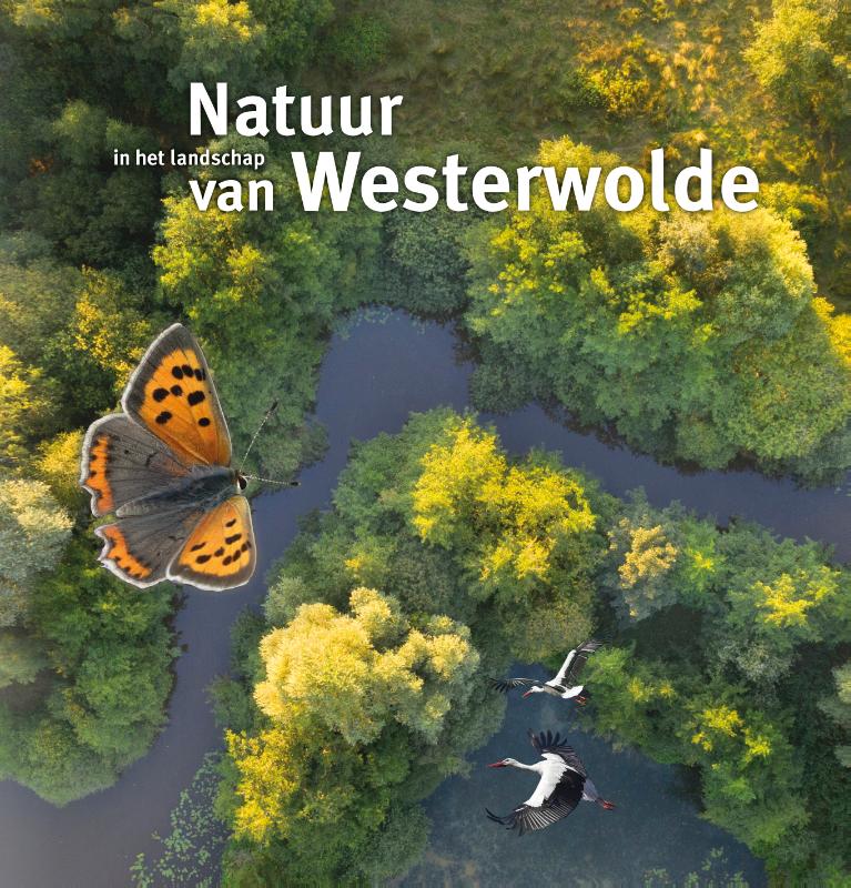 Online bestellen: Natuurgids Natuur in het landschap van Westerwolde | van Gorcum