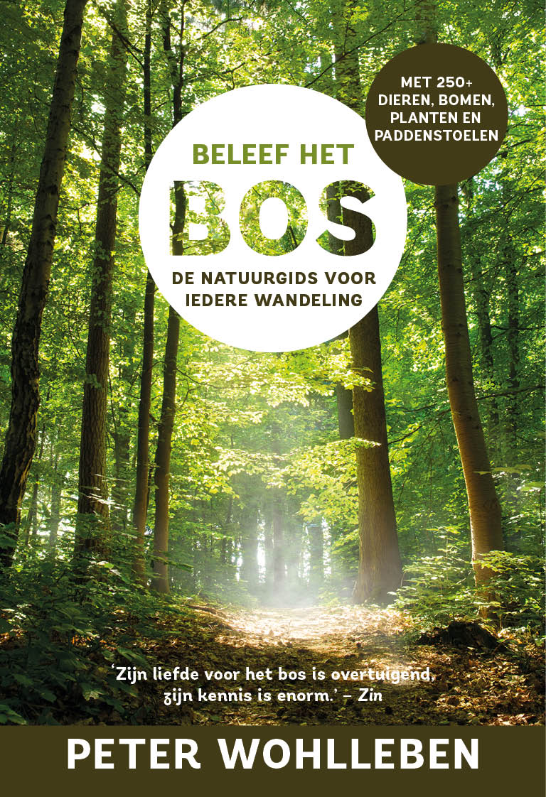 Online bestellen: Natuurgids Beleef het bos | Luitingh Sijthoff