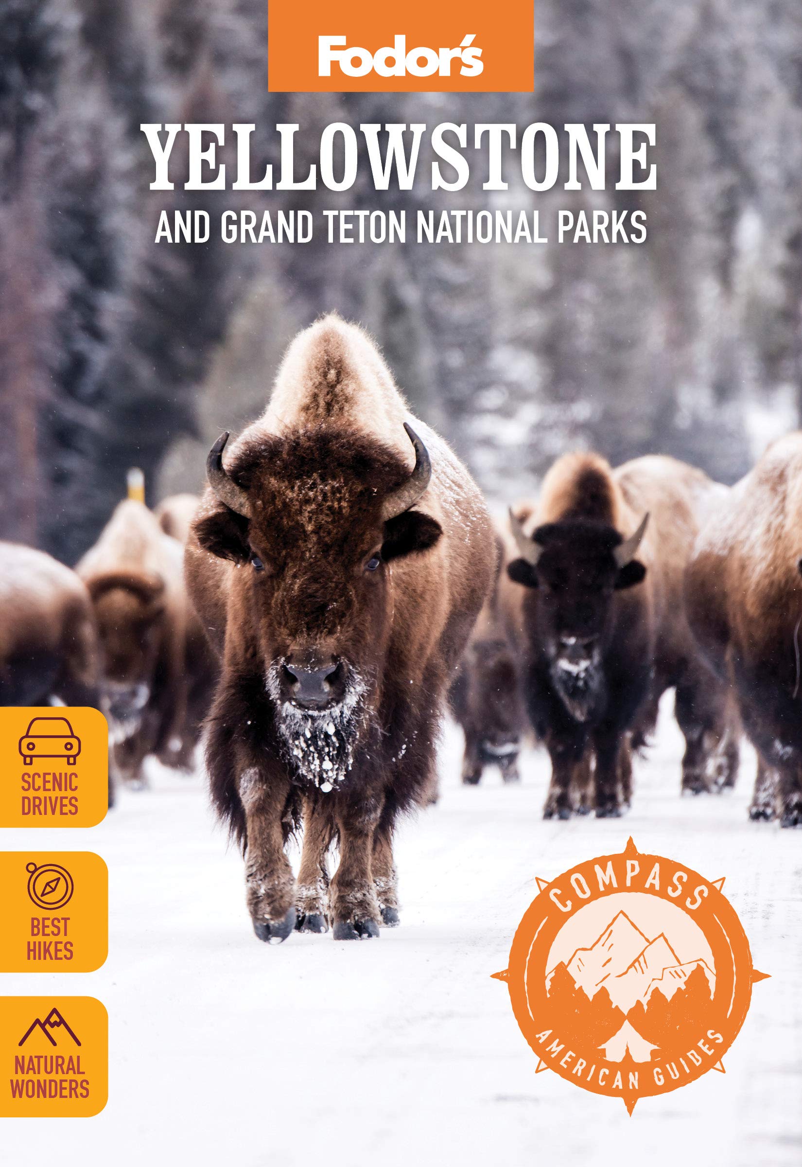 Online bestellen: Reisgids Yellowstone and Grand Teton National Parks | Fodor's Travel