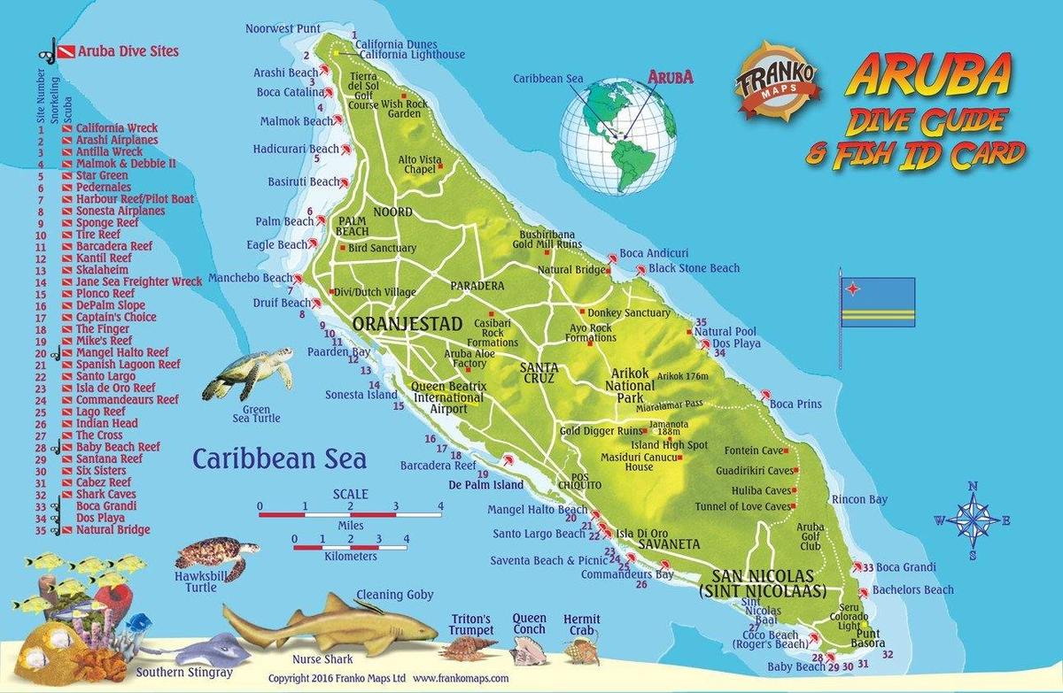 Online bestellen: Waterkaart Fish Card Aruba Dive Sites & Fish ID Card / Coral Reef Creatures | Franko Maps