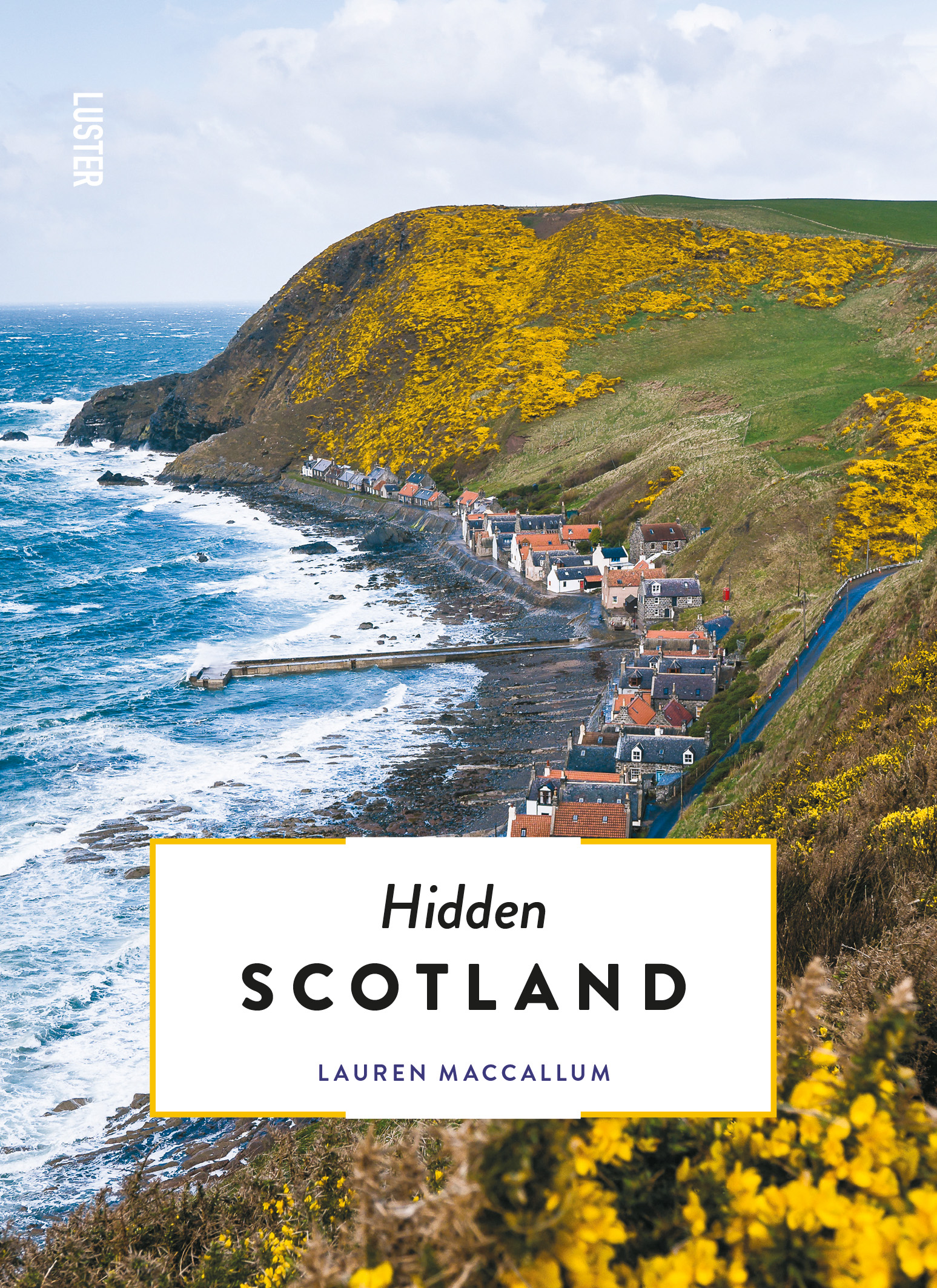Online bestellen: Reisgids Hidden Scotland | Luster