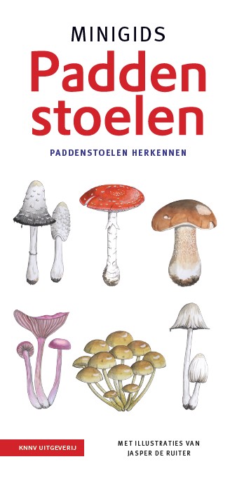 Online bestellen: Natuurgids Minigids Paddenstoelen | KNNV Uitgeverij