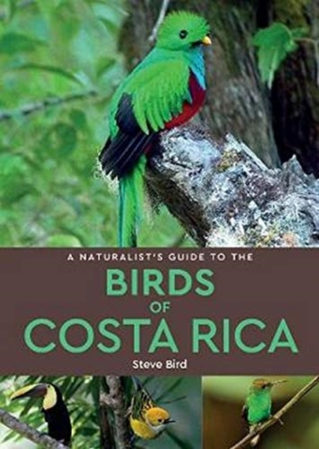 Online bestellen: Vogelgids a Naturalist's guide to the Birds of Costa Rica | John Beaufoy