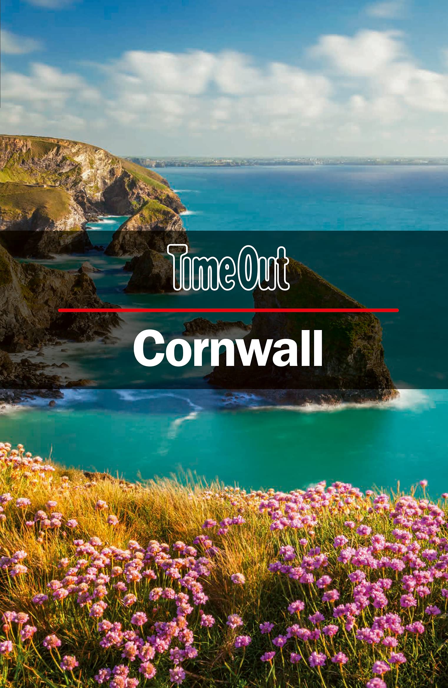 Online bestellen: Reisgids Cornwall | Time Out