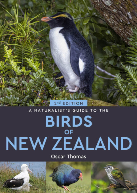 Online bestellen: Vogelgids a Naturalist's guide to the Birds of New Zealand | John Beaufoy