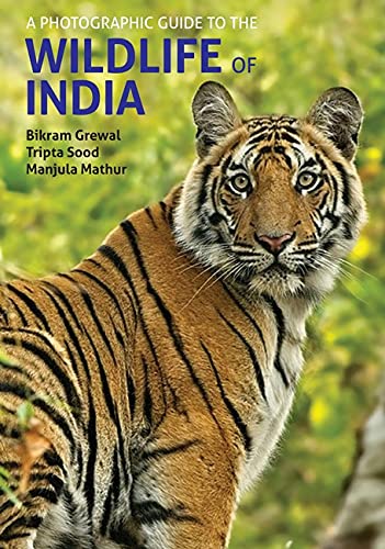 Online bestellen: Vogelgids - Natuurgids A photographic field guide to the to the Wildlife of India | John Beaufoy